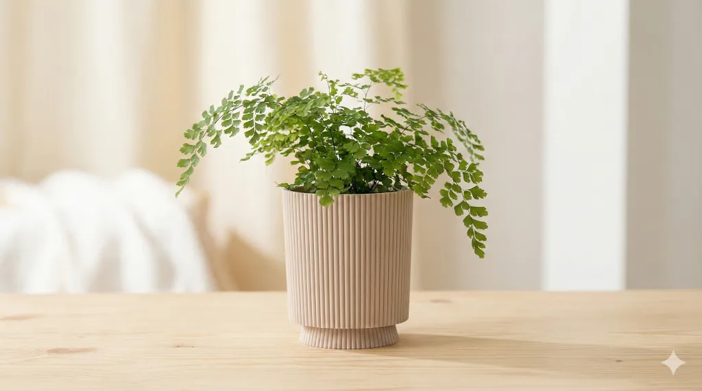 lunariahome-nero-planter-beige-large-04.webp
