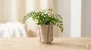 lunariahome-nero-planter-beige-large-04.webp